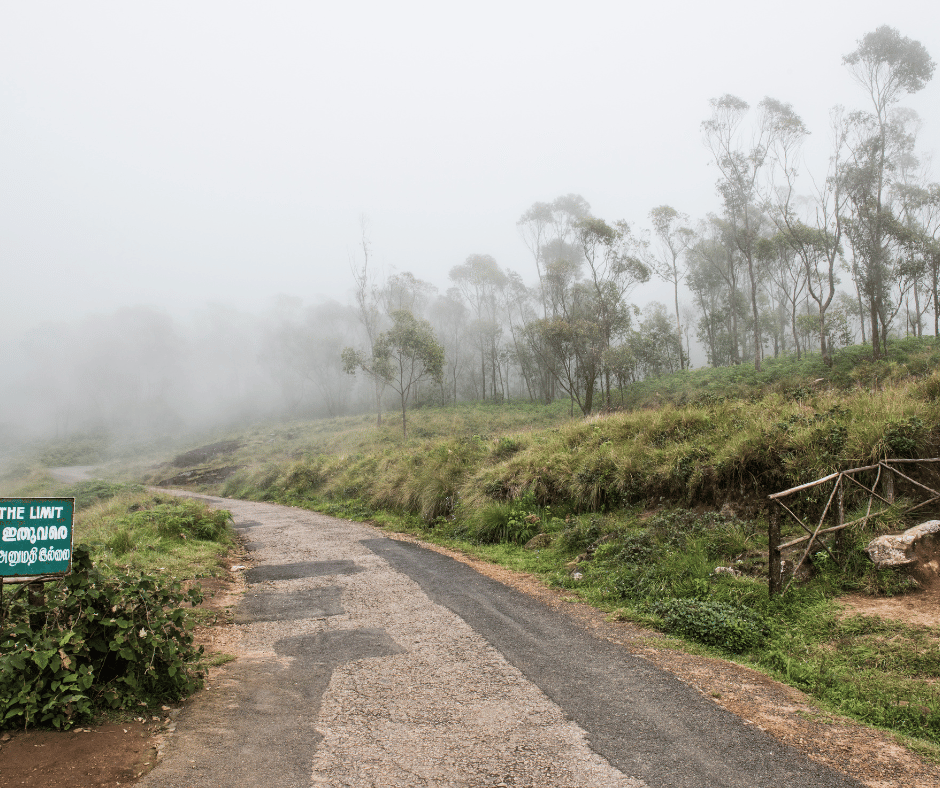 Eravikulam National Park